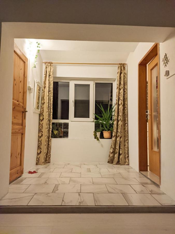 Moss'S Economy Apartment Timisoara Bagian luar foto