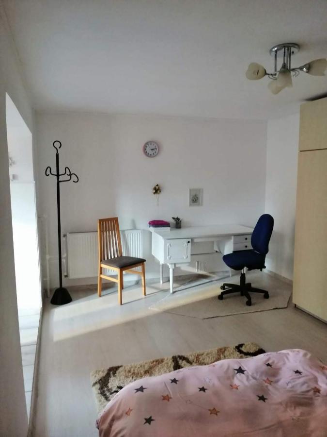 Moss'S Economy Apartment Timisoara Bagian luar foto