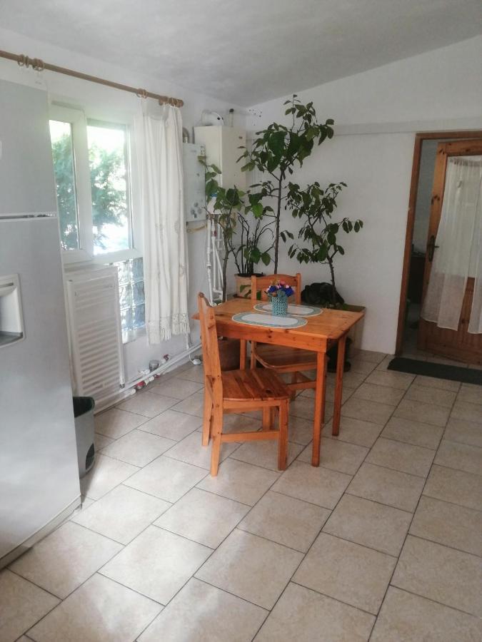 Moss'S Economy Apartment Timisoara Bagian luar foto